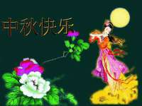 山东锦尚网络科技有限公司