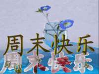山东锦尚网络科技有限公司