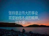 山东锦尚网络科技有限公司