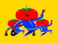 山东锦尚网络科技有限公司