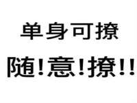 山东锦尚网络科技有限公司