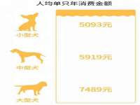 山东锦尚网络科技有限公司
