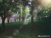 山东锦尚网络科技有限公司