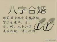 山东锦尚网络科技有限公司