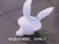 山东锦尚网络科技有限公司
