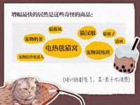 山东锦尚网络科技有限公司