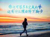 山东锦尚网络科技有限公司