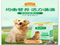 山东锦尚网络科技有限公司