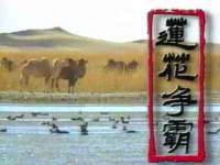 山东锦尚网络科技有限公司