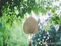 山东锦尚网络科技有限公司