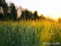 山东锦尚网络科技有限公司