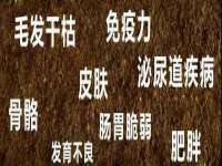 山东锦尚网络科技有限公司
