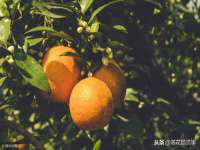 山东锦尚网络科技有限公司