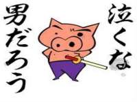 山东锦尚网络科技有限公司