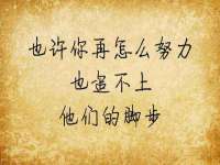 山东锦尚网络科技有限公司