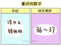山东锦尚网络科技有限公司