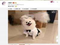 山东锦尚网络科技有限公司