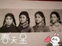 山东锦尚网络科技有限公司