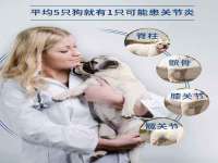 山东锦尚网络科技有限公司