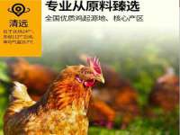 山东锦尚网络科技有限公司