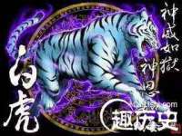 山东锦尚网络科技有限公司