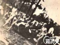 山东锦尚网络科技有限公司