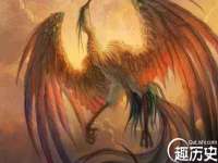 山东锦尚网络科技有限公司