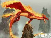 山东锦尚网络科技有限公司