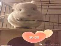 山东锦尚网络科技有限公司