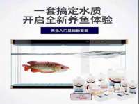 山东锦尚网络科技有限公司