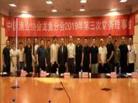山东锦尚网络科技有限公司