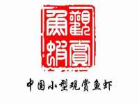 山东锦尚网络科技有限公司