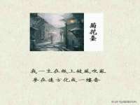 山东锦尚网络科技有限公司