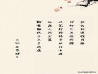 山东锦尚网络科技有限公司