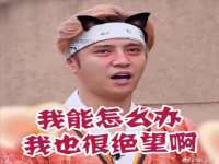 山东锦尚网络科技有限公司