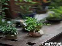 山东锦尚网络科技有限公司