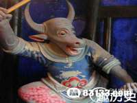 山东锦尚网络科技有限公司