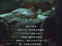 山东锦尚网络科技有限公司
