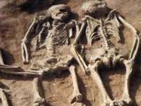 山东锦尚网络科技有限公司