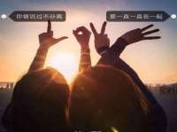 山东锦尚网络科技有限公司