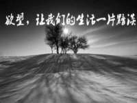 山东锦尚网络科技有限公司