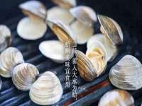 山东锦尚网络科技有限公司