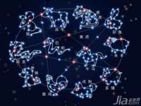 山东锦尚网络科技有限公司