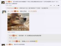 山东锦尚网络科技有限公司