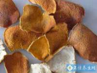 山东锦尚网络科技有限公司