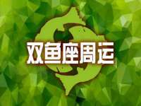 山东锦尚网络科技有限公司