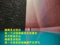 山东锦尚网络科技有限公司