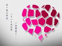 山东锦尚网络科技有限公司