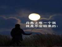 山东锦尚网络科技有限公司