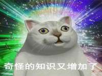 山东锦尚网络科技有限公司